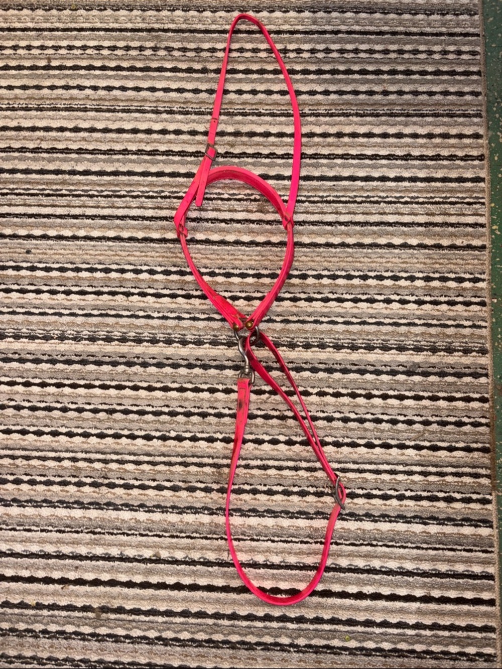 Hot Pink Tie down (for horses)